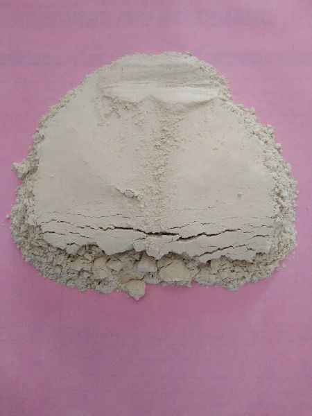 satawri powder