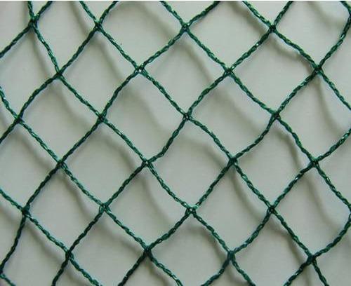 Square HDPE Anti Bird Net, Color : Green
