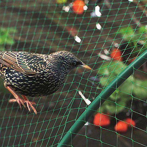 Nylon Bird Protection Net, Color : Green