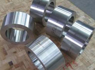 Polished Titanium Forged Fittings, Feature : Excellent Quality, Fine Finishing