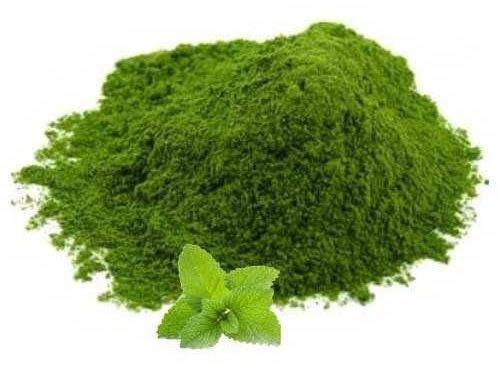 Mint Pudina Powder