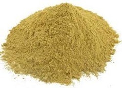 Thylakoid Moringa Seed Cake Powder, Packaging Size : 25 kg