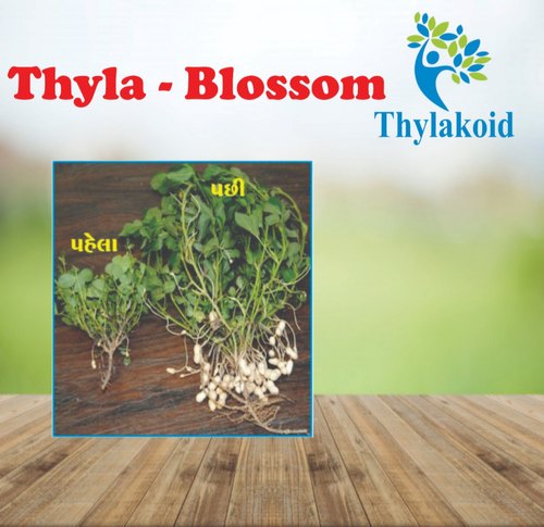 Thyla-Blossom Plant Growth Regulator