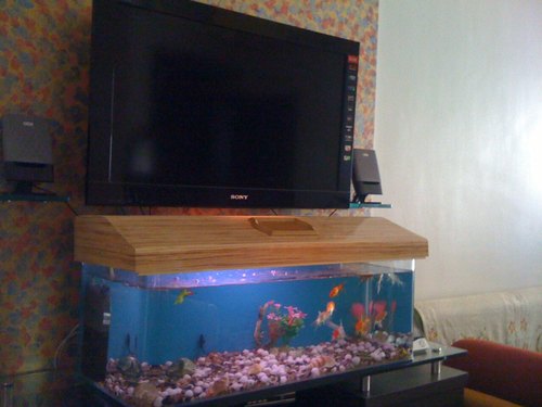 Glass Freshwater Aquarium, Size : Customised