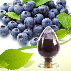 Himrishi Herbal Bilberry Extract, Packaging Type : Loose, HDPE Drum