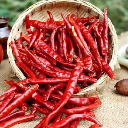 Organic Raw Dried Red Chilli, for Cooking, Grade Standard : Food Grade