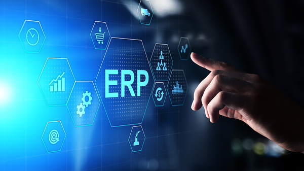 ERP Software Development Services