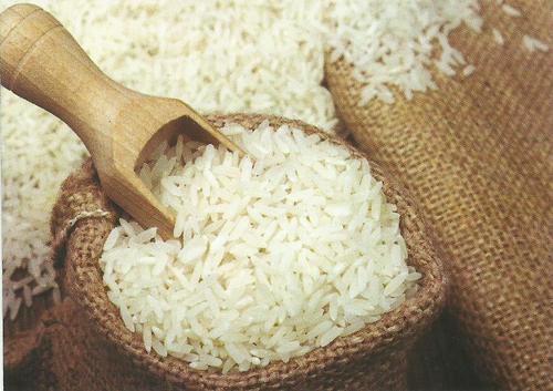 Organic Traditional Raw Basmati Rice, for High In Protein, Packaging Size : 10kg, 20kg