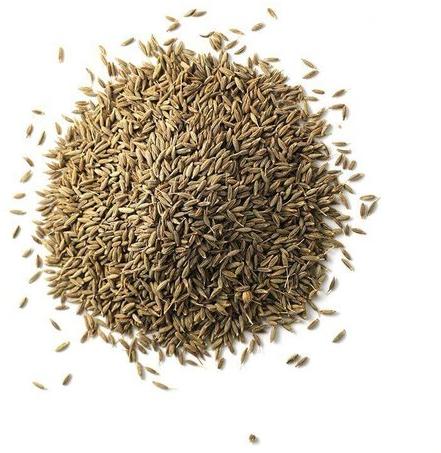Cumin seeds, Packaging Type : Packet