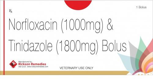 Norfloxacin and Tinidazole Bolus, for Veterinary Use , Packaging Type : Blister