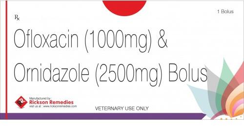 Ofloxacin and Ornidazole Bolus, Packaging Type : Blister