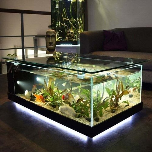 Coffee Aquarium Table