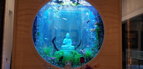 Freshwater Fish Aquarium Tank
