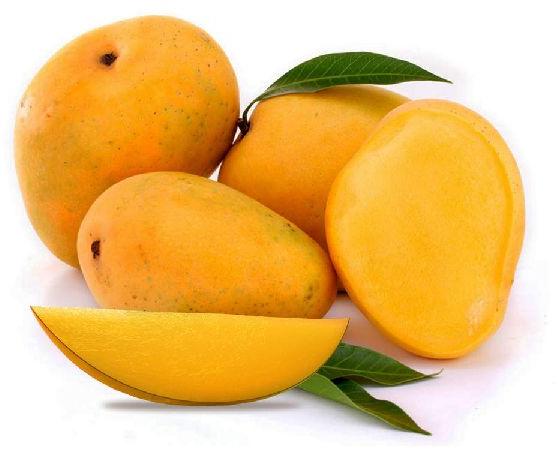Fresh Kesar Mango, Shelf Life : 5-10Days