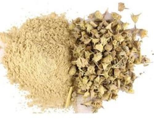 Gokhru powder, Feature : Long Shelf Life