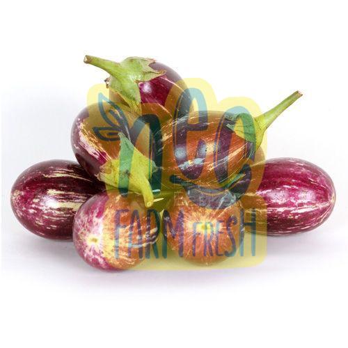 Natural Fresh Brinjal, for Human Consumption, Packaging Type : Jute Bag