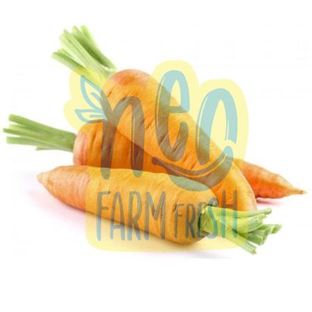 Natural Fresh Carrot, for Food, Juice, Pickle, Taste : Sweet