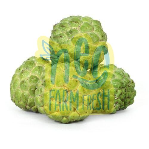 Natural Fresh Custard Apple, for Human Consumption, Packaging Type : Paper Box