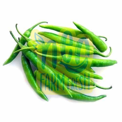 Natural Fresh Green Chilli, for Good Nutritions, Good Health, Packaging Type : Gunny Bag