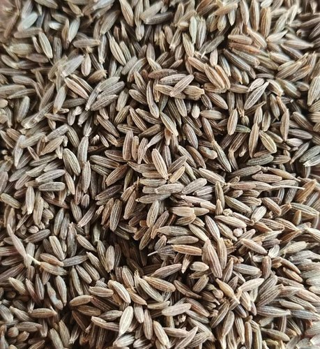 Raw Organic Europe Cumin Seeds, Packaging Type : Plastic Packet