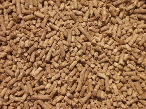 cattle feed