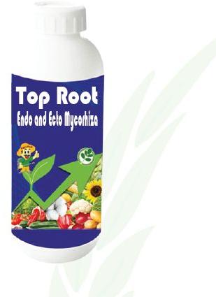 Top Root Endo and Ecto Mycorrhiza