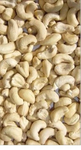 DW Cashew Nuts, Certification : FSSAI Certified, ISO9001-2008