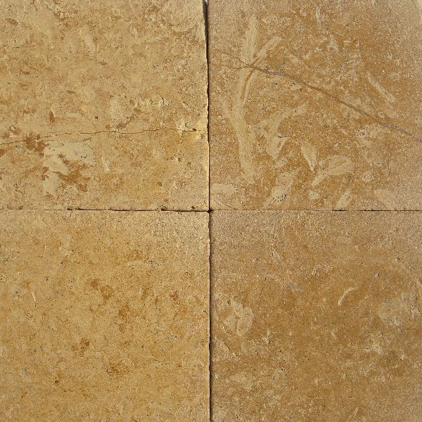 Flowery Gold Sandstone, Form : Slabs