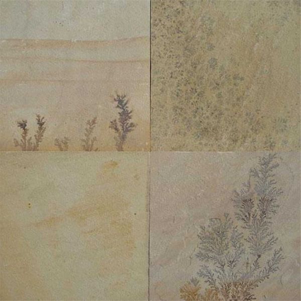 Fossil Mint Sandstone, Color : Yellow
