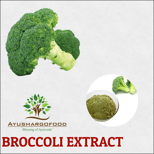 Broccoli Extract at best price INR 850 / Kilogram in Delhi from