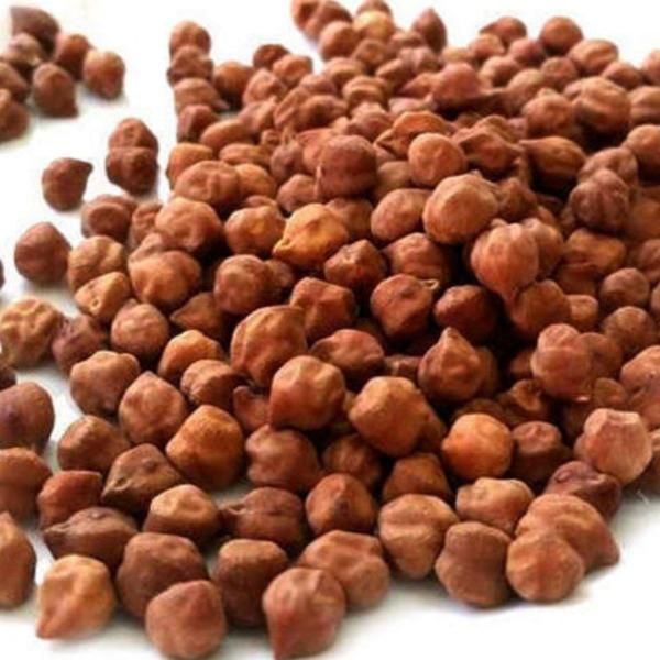 black-bengal-gram-at-best-price-inr-130inr-180-kilogram-in-ujjain