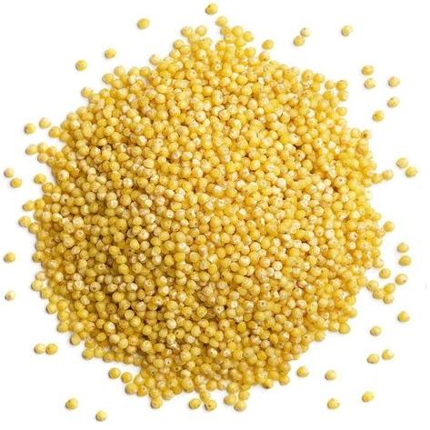 Organic Hulled Millets, for High in Protein, Packaging Type : Loose