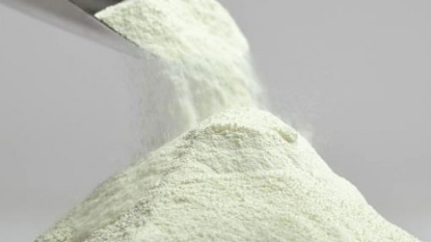 Casein Edible Powder, for Human Consumption