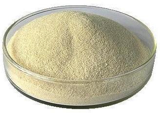 Sodium Alginate, for Food Preservative, Industrial, Purity : 99%