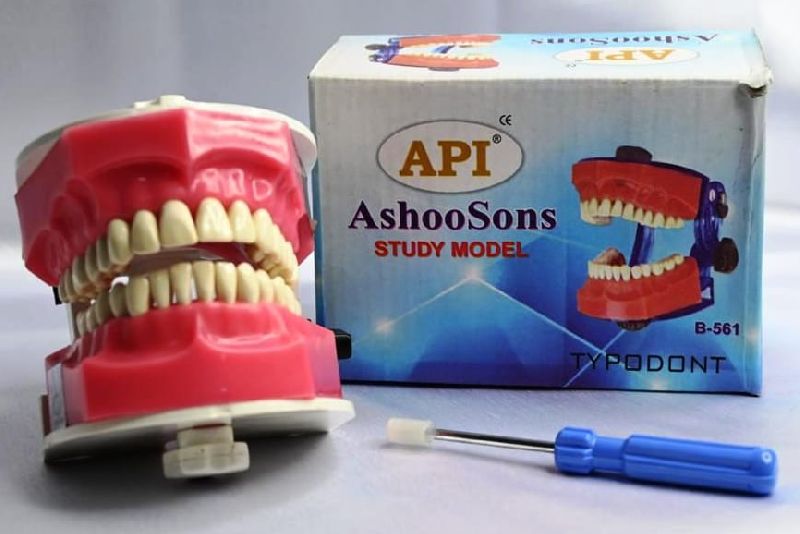 Jaw Teeth Set