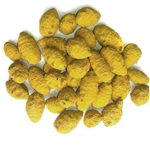 Organic Turmeric Bulbs, Color : Orange Yellow