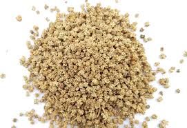 Haldibari palak seeds, for Agriculture, herbal products, medicine