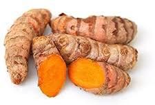 Fresh Yellow Turmeric