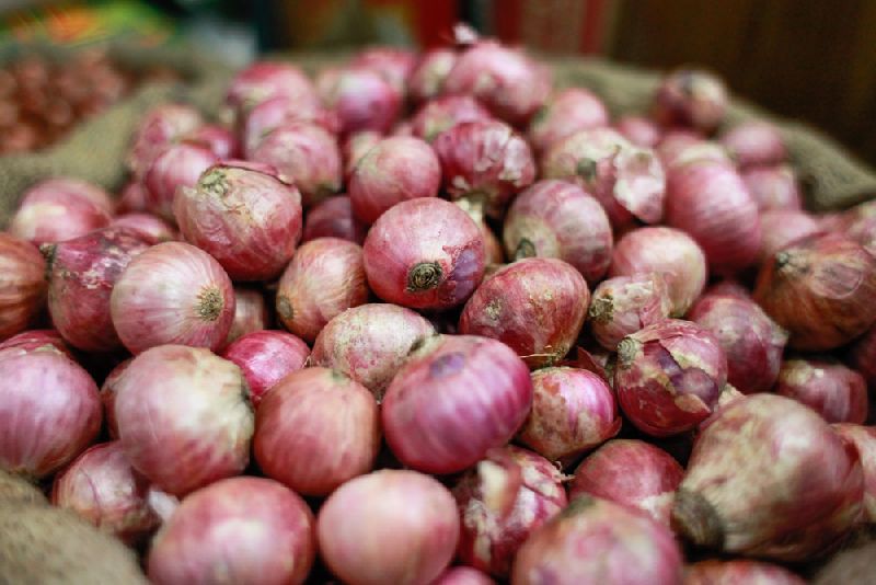 Fresh Pink Onion, Shelf Life : 7-15days
