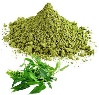 Natural Curry Leaves Powder, for Cooking, Medicines, Style : Dried