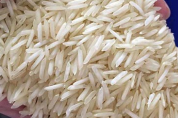 Organic 1121 basmati rice, Style : Dried