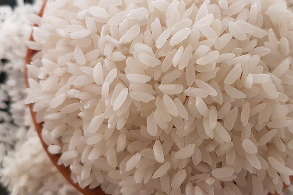 IR64 Parboiled Non Basmati Rice, Color : Creamy