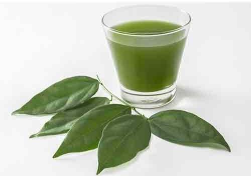 Chlorophyll Juice