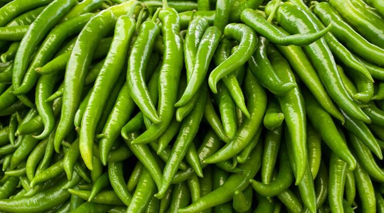 Organic Fresh Green Chilli, for High Nutritive Value, Packaging Type : Plastic Bag