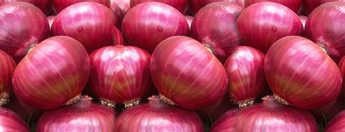 Fresh red onion, Packaging Size : 20kg, 50kg