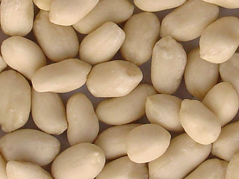 Organic Blanched Peanuts, for Cooking, Packaging Size : 250gm, 500gm