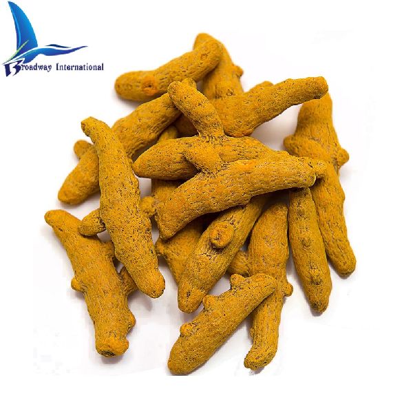 Raw Natural Turmeric Finger, Style : Dried