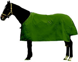 Cotton Plain Horse Blanket, Size : Standard