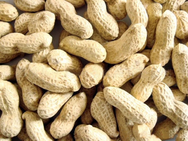 Shelled Groundnuts, Packaging Size : 50Kg