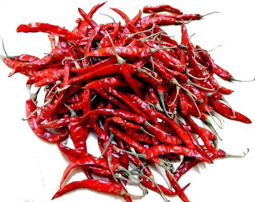Red chilli, Variety : Teja